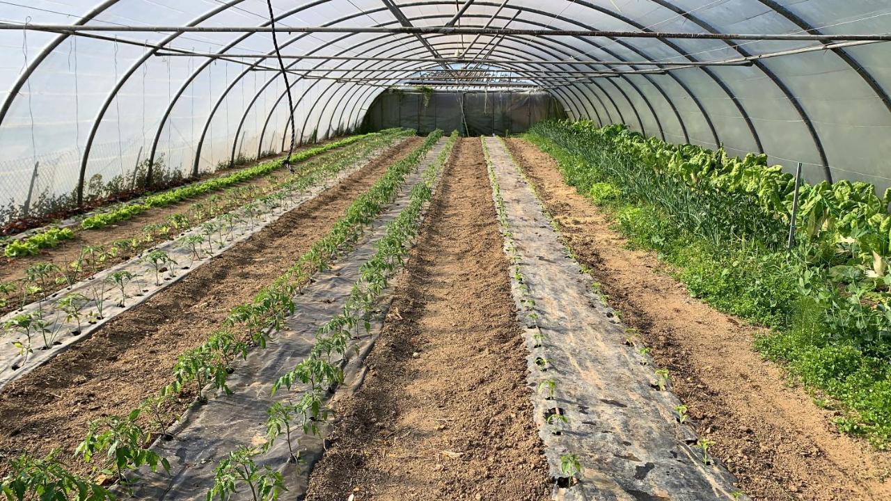 Agroturismo Urresti Gautegiz Arteaga Exteriör bild
